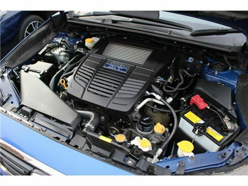 LEVORG-49