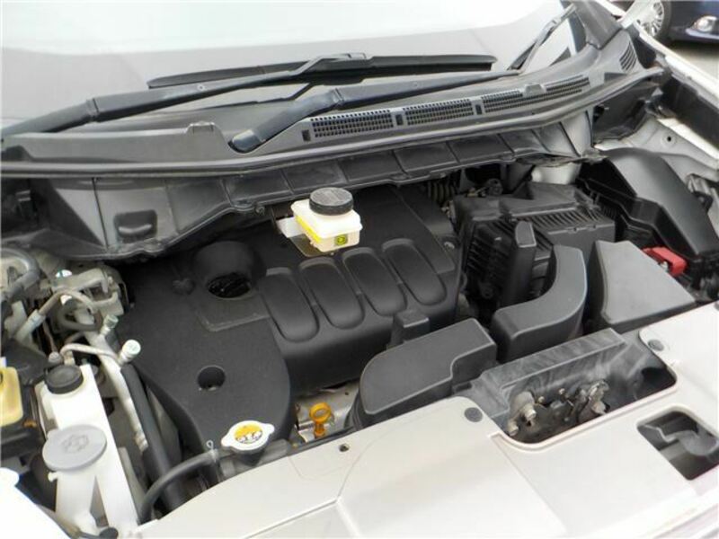 ELGRAND-19