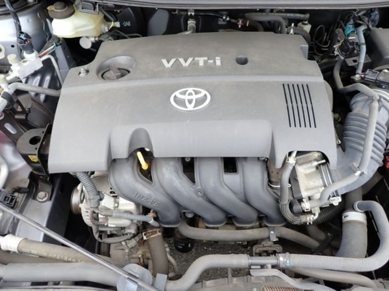 AURIS