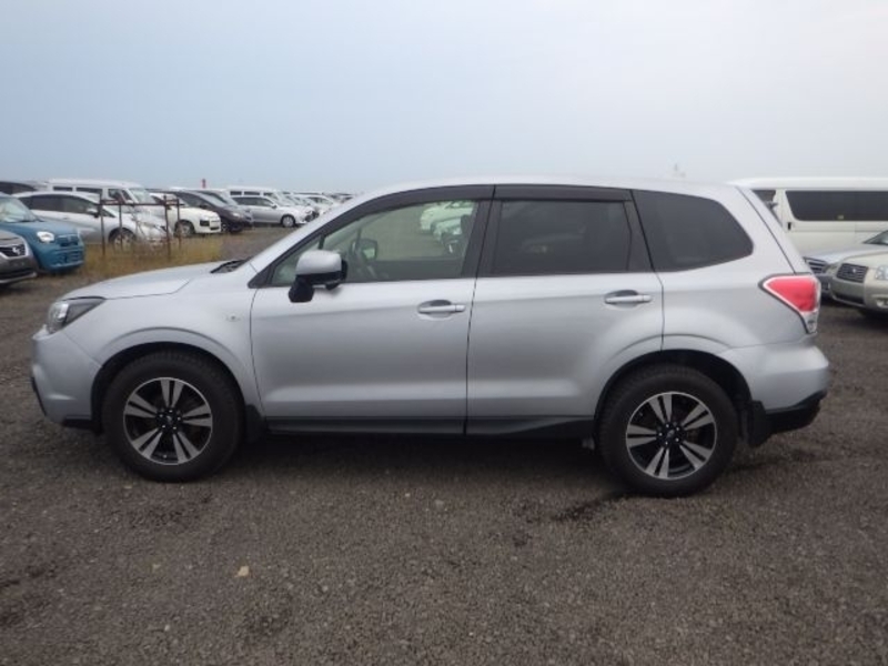 FORESTER