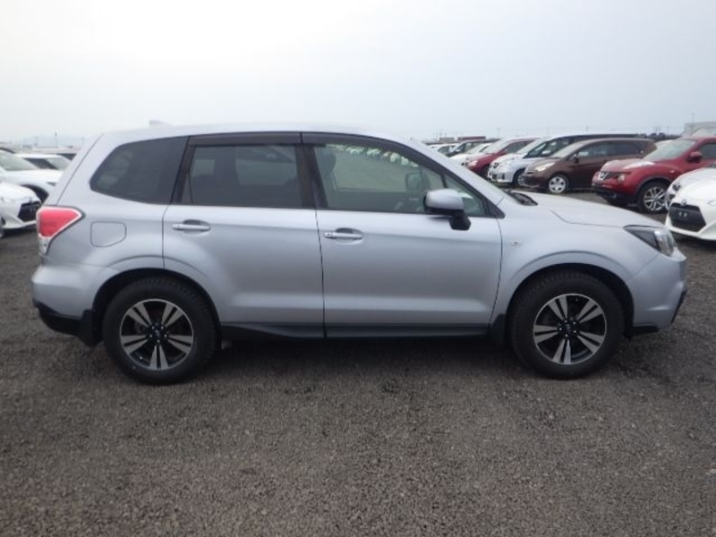FORESTER