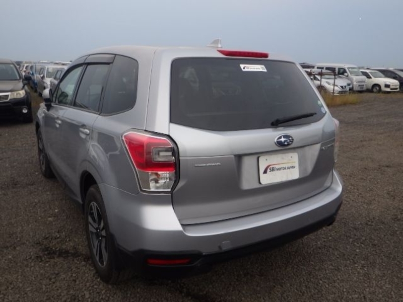 FORESTER