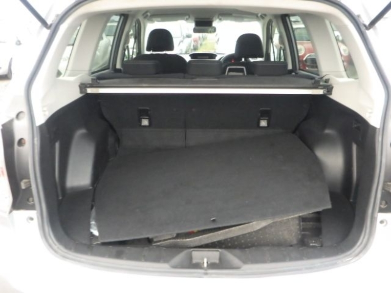 FORESTER