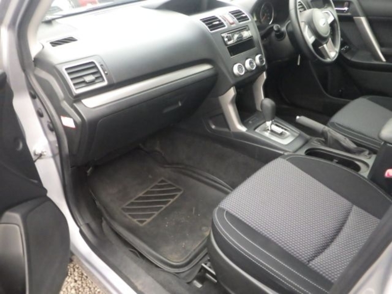FORESTER