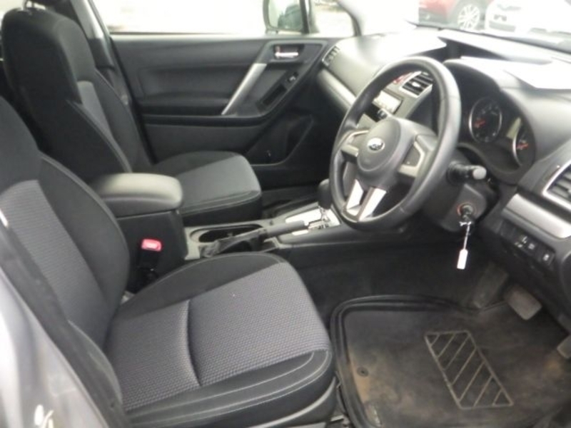 FORESTER