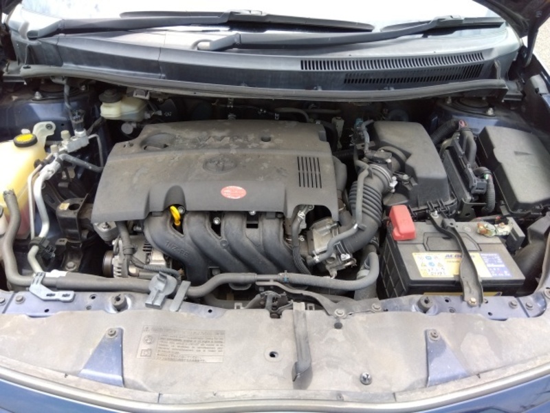 AURIS