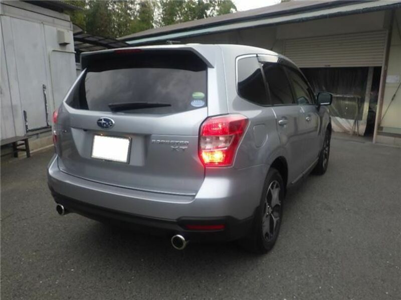 FORESTER-1