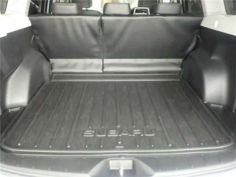 FORESTER-11