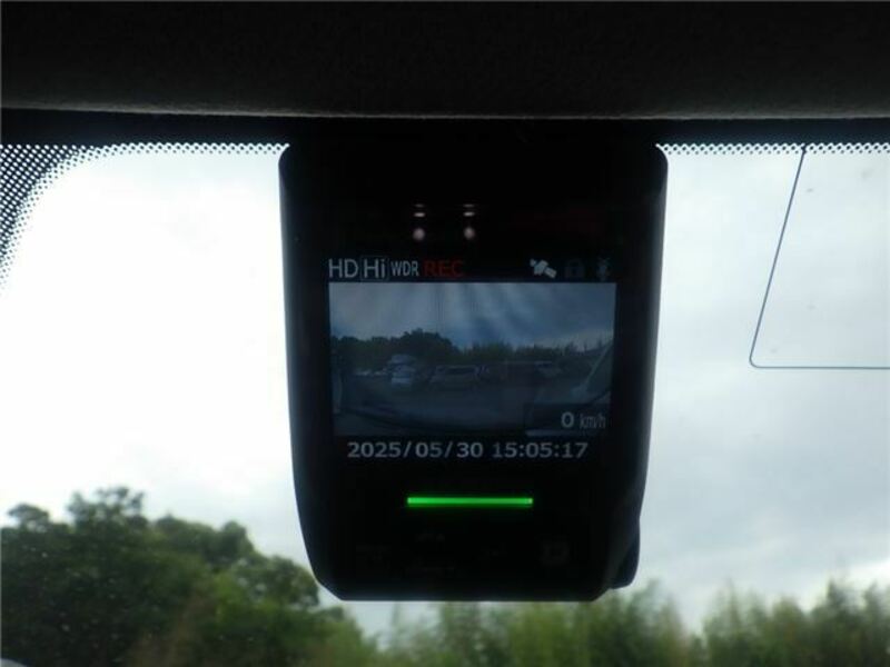 FORESTER-16