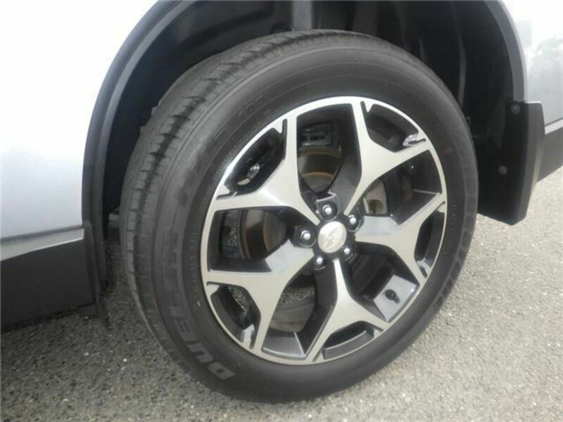 FORESTER-21