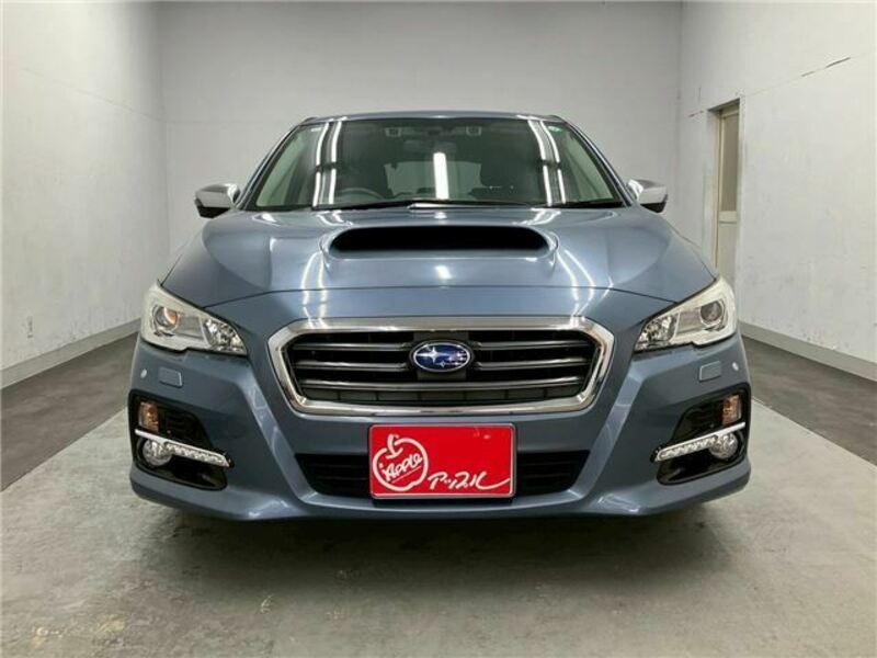 LEVORG-1