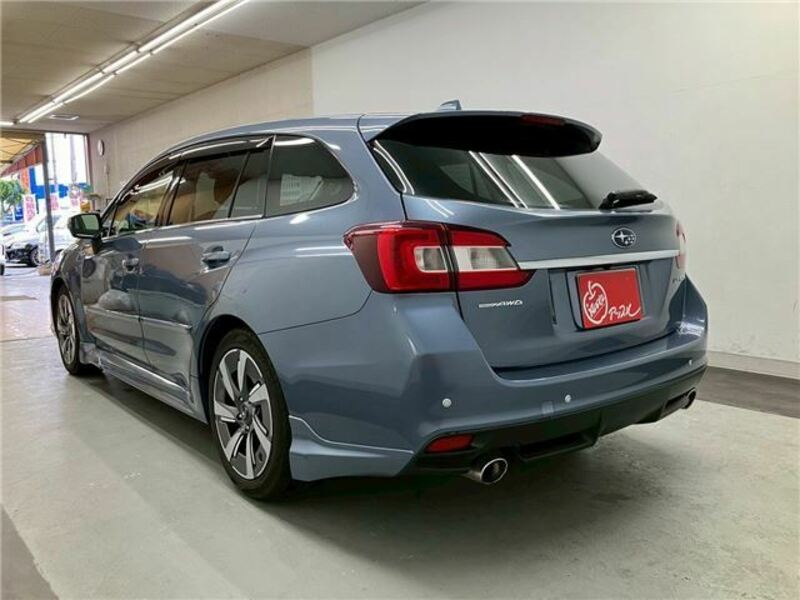 LEVORG-6