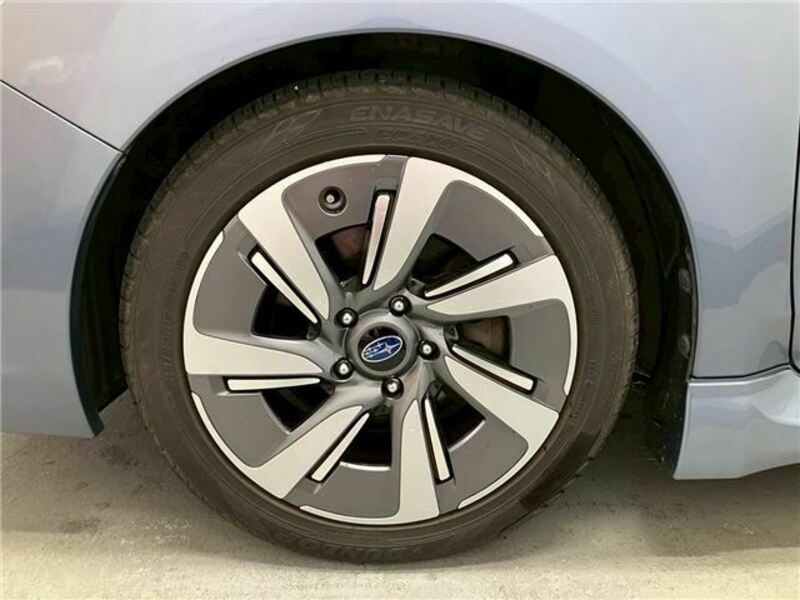 LEVORG-18