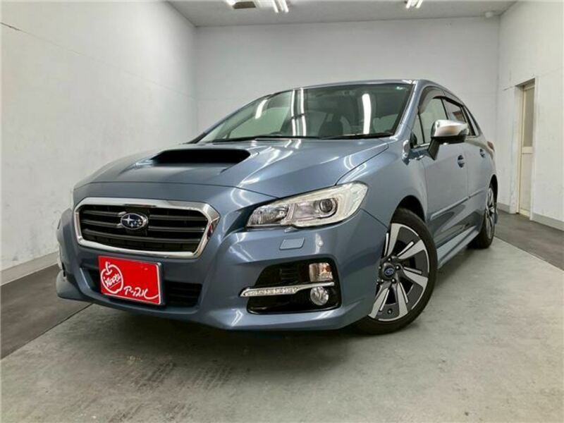 LEVORG-19