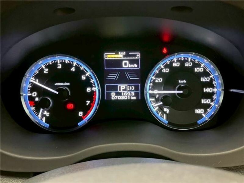 LEVORG-30