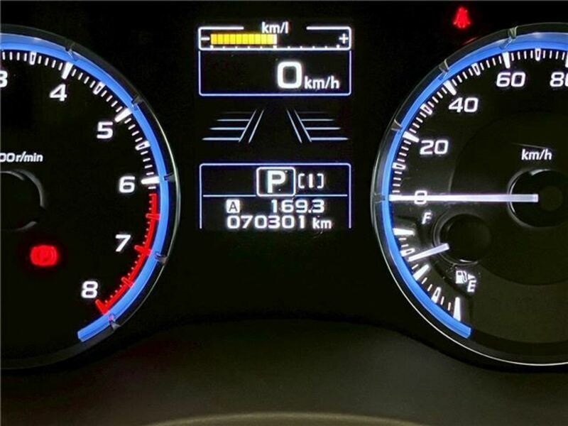 LEVORG-31