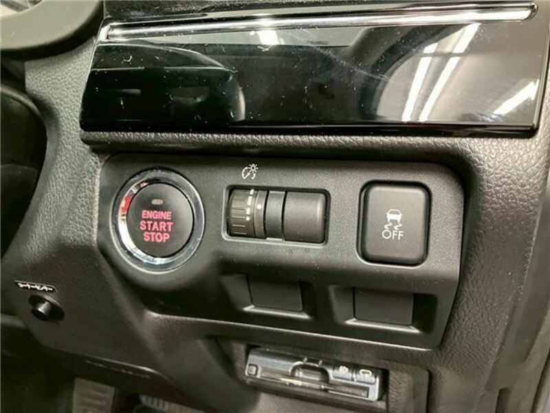 LEVORG-34