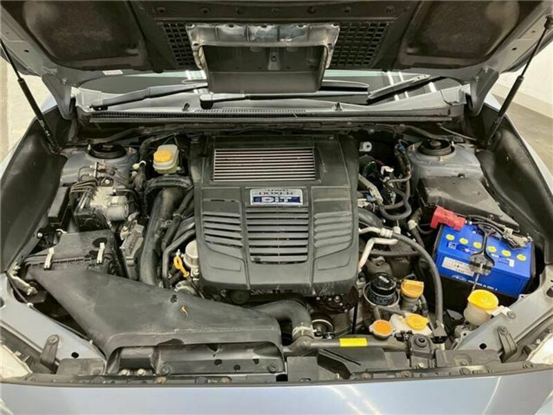 LEVORG-40