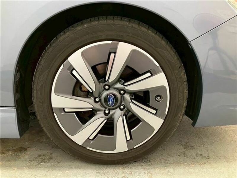 LEVORG-41