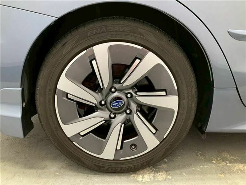 LEVORG-42