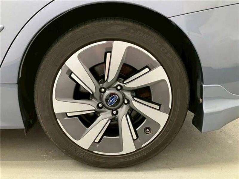 LEVORG-43