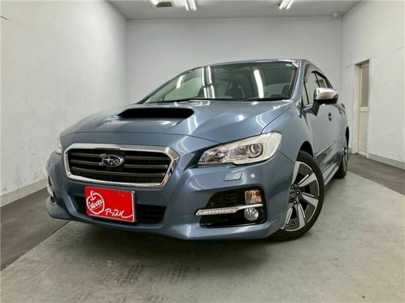 LEVORG-44
