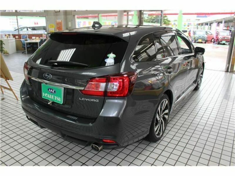 LEVORG-1