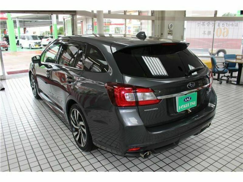 LEVORG-3