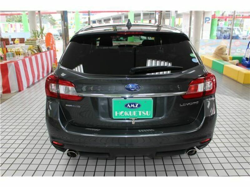LEVORG-4