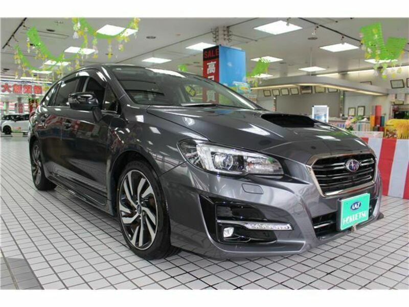 LEVORG-5