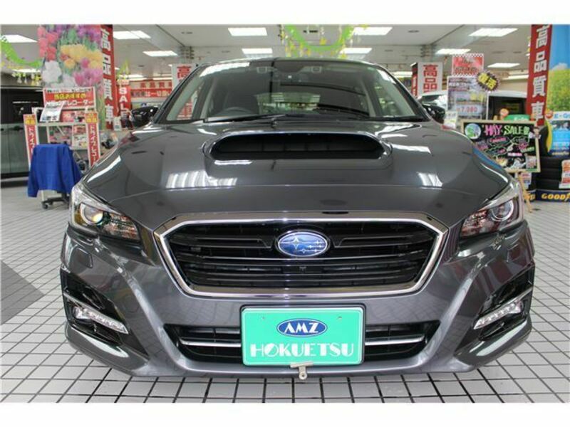 LEVORG-6