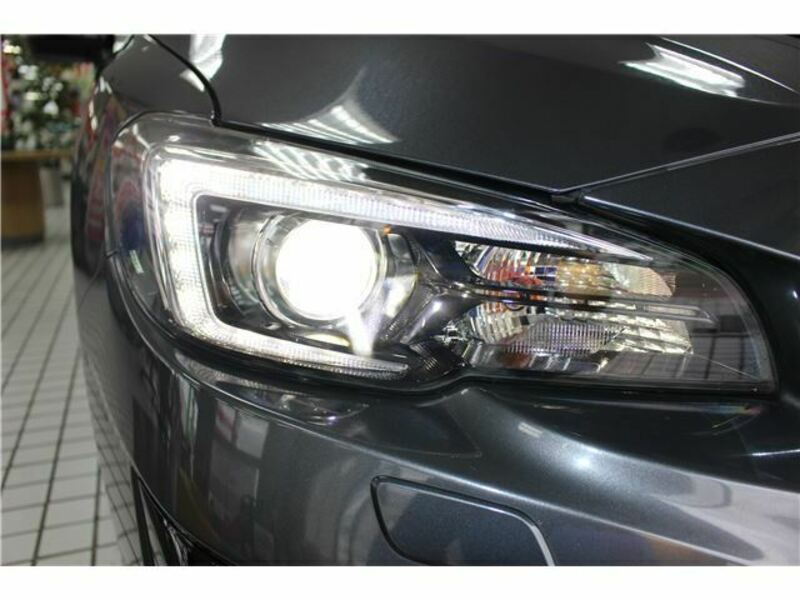 LEVORG-8