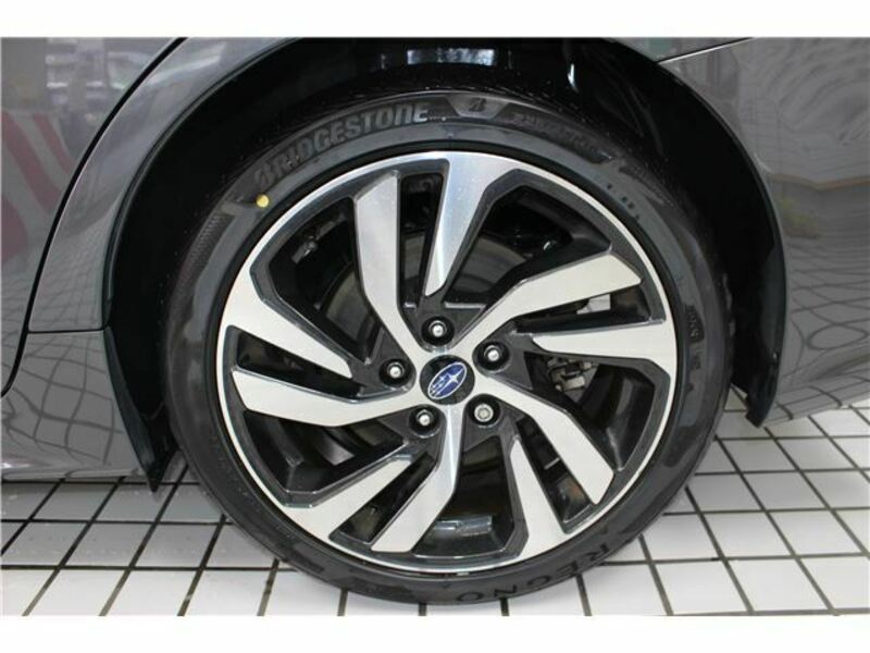 LEVORG-10
