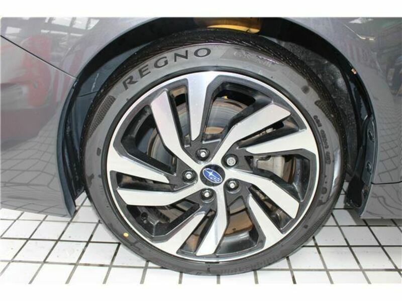 LEVORG-11