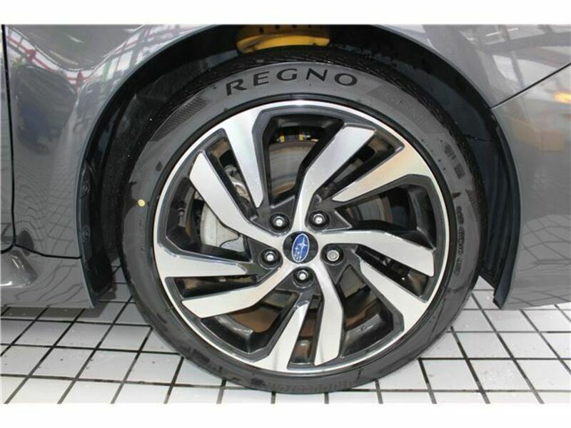 LEVORG-12
