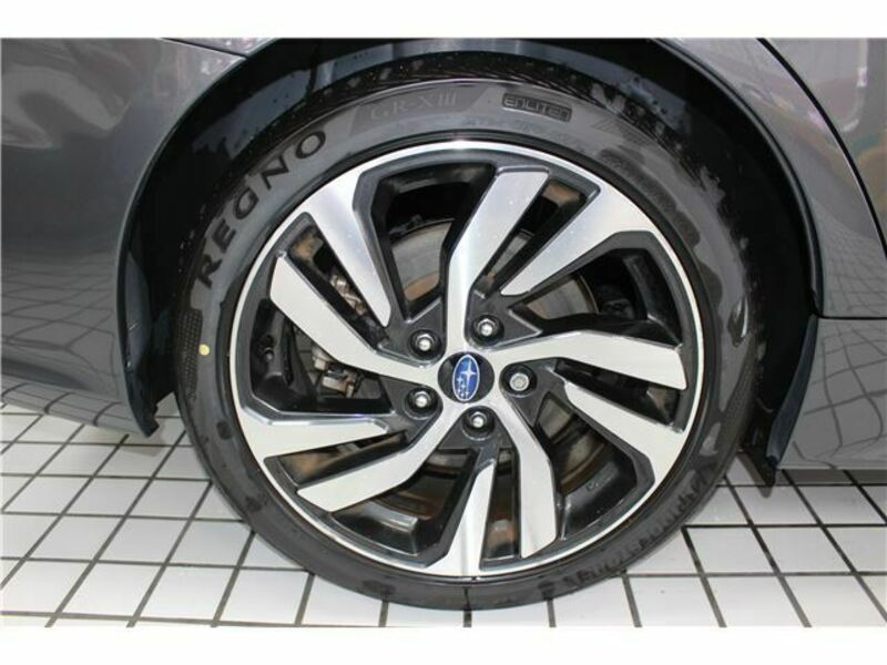 LEVORG-14