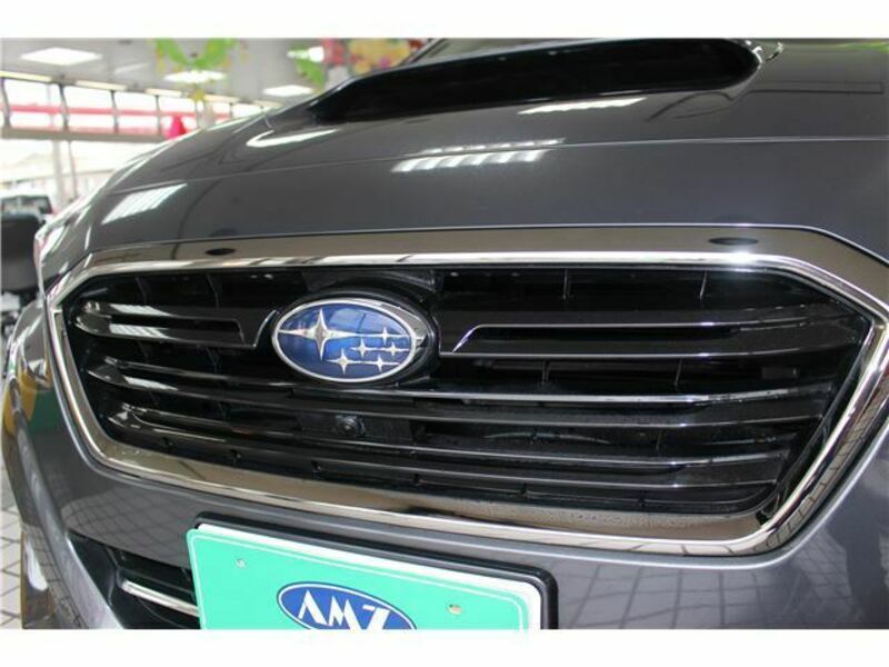 LEVORG-18