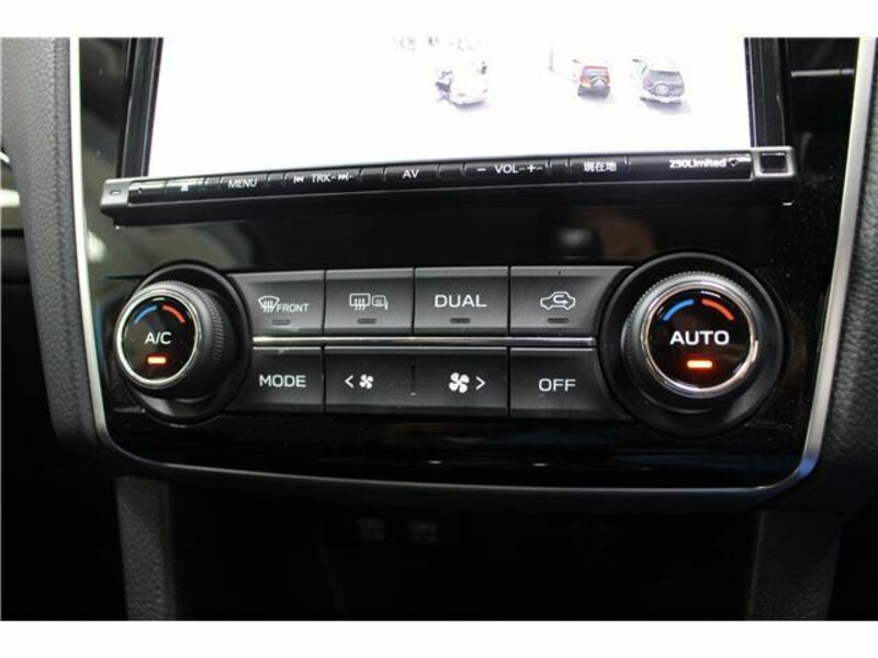 LEVORG-31