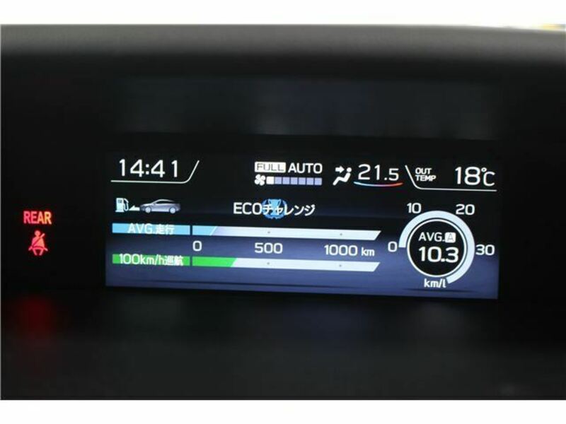 LEVORG-39