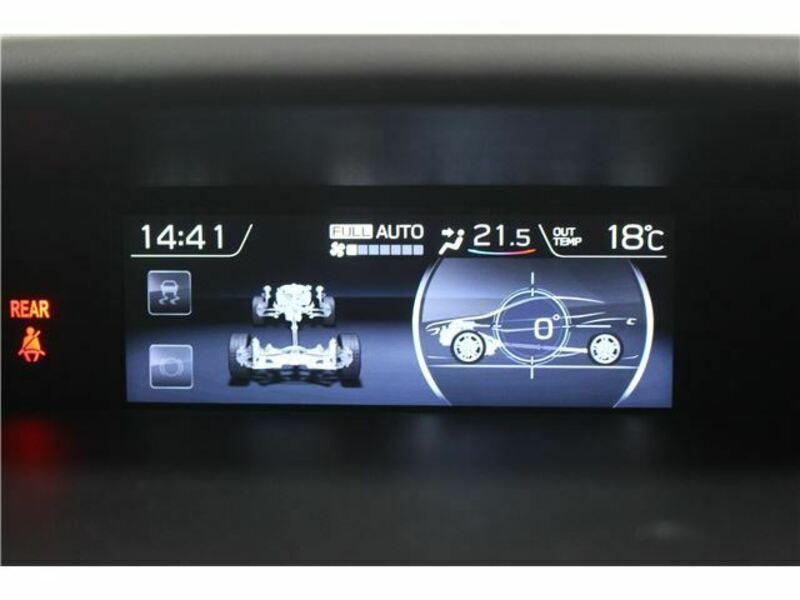 LEVORG-40