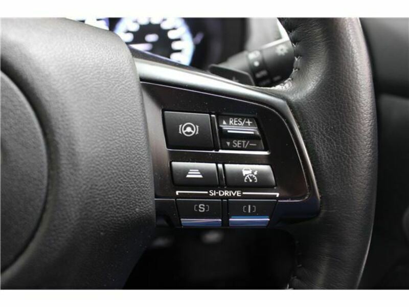 LEVORG-41