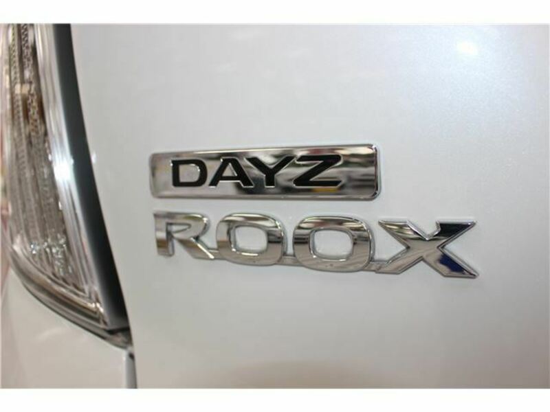 DAYZ ROOX