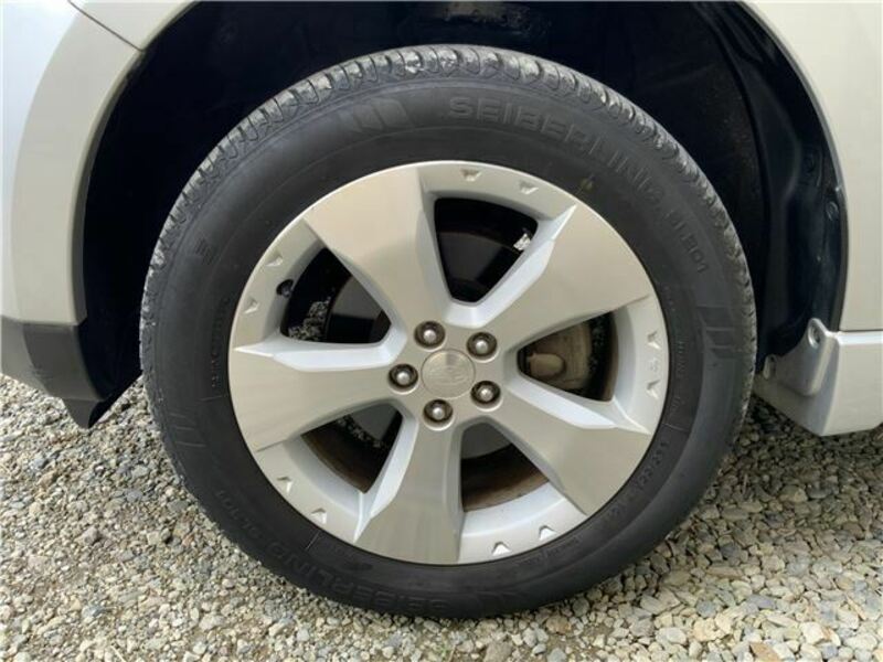 FORESTER-11