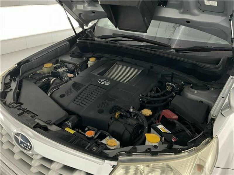FORESTER-14