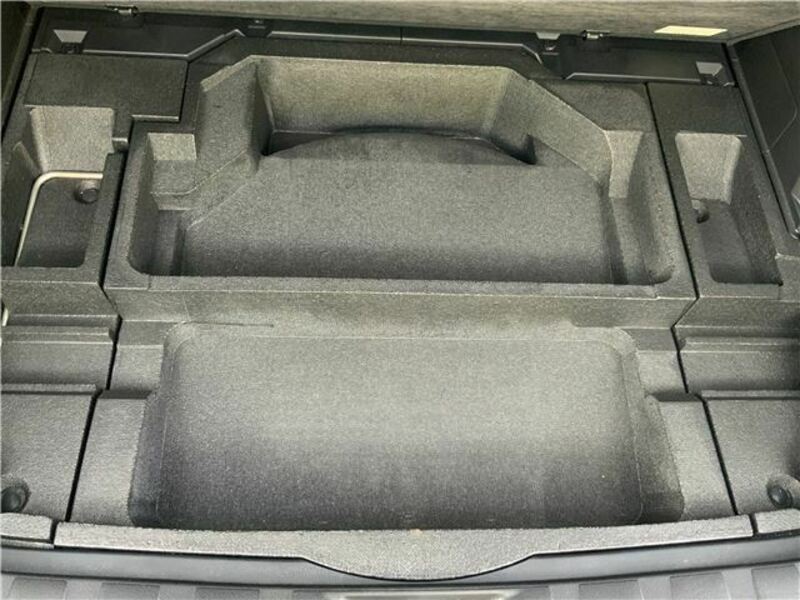 FORESTER-25