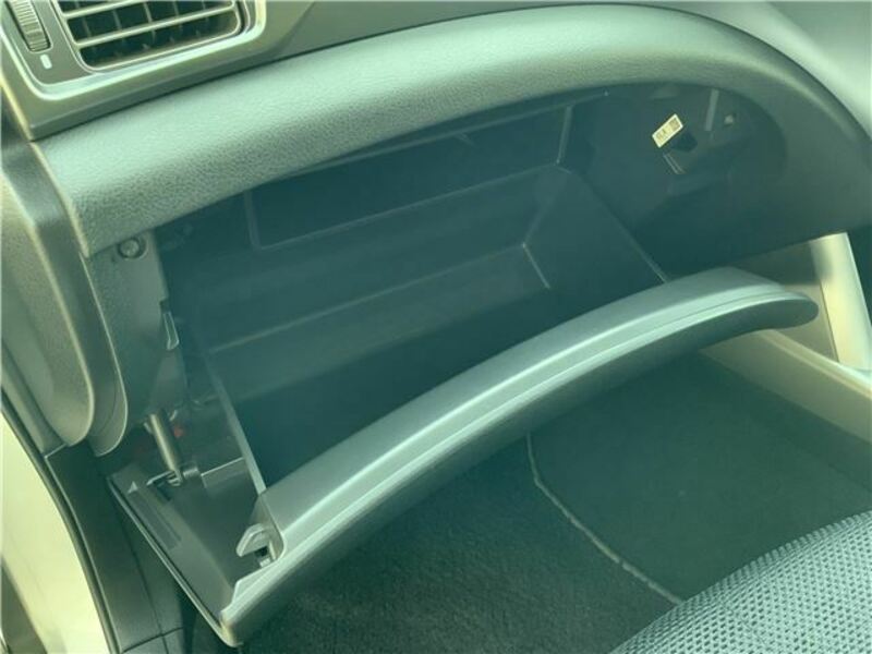 FORESTER-30