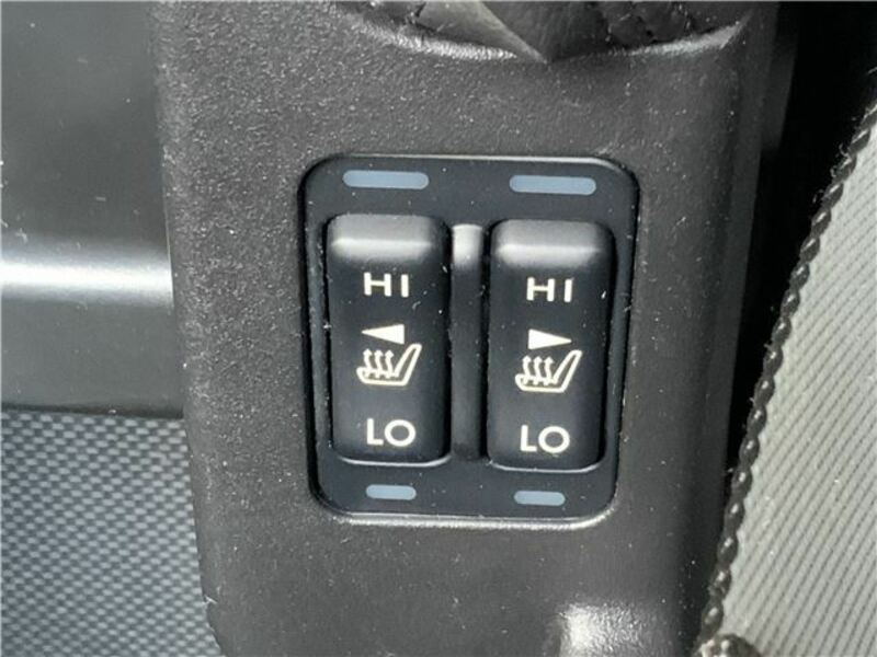 FORESTER-45