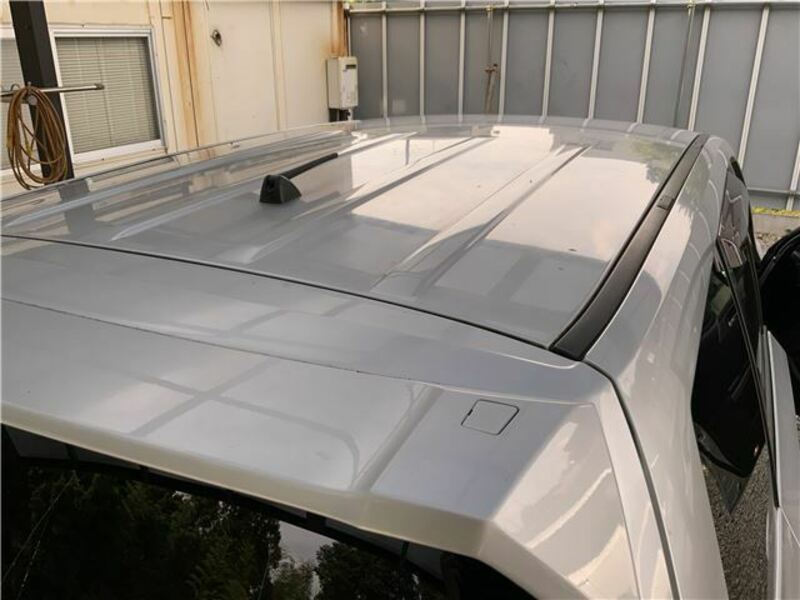 FORESTER-49