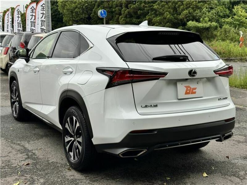 NX