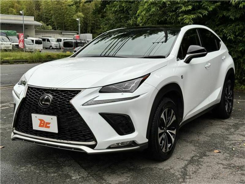 NX